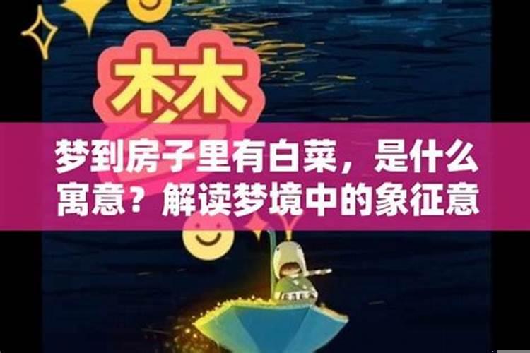 梦见进大房子里面什么意思
