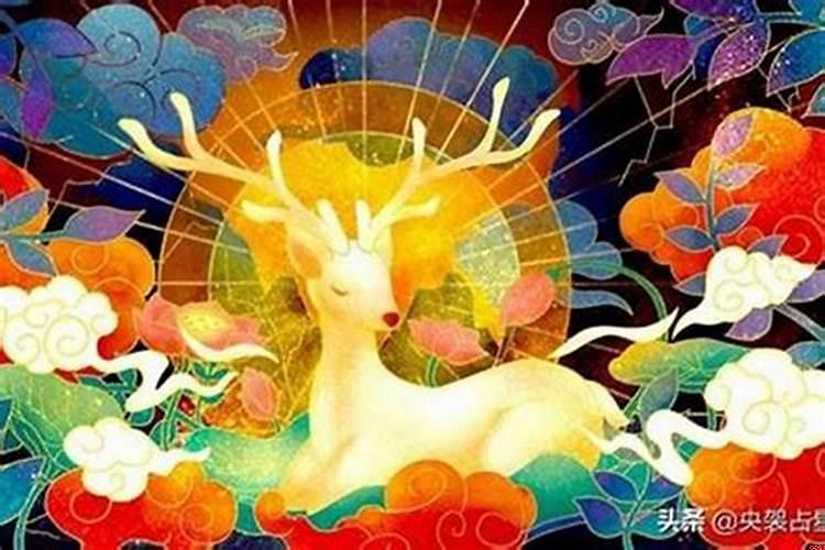 当摩羯座真心爱上一个人的表现