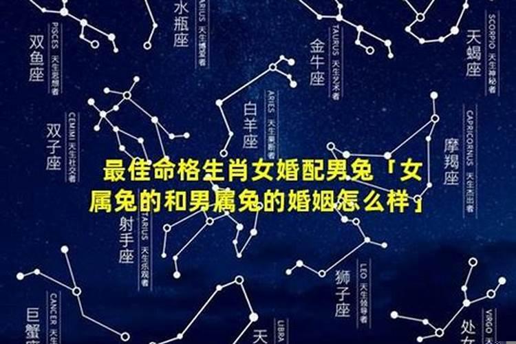 属兔的婚姻配对最佳女