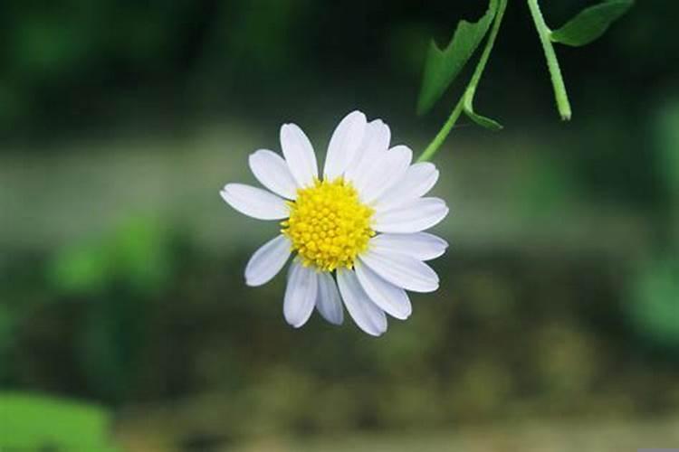 挽回婚姻最明智的方法