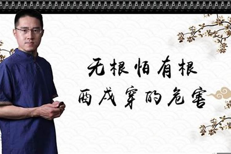 有根怕无根的命理