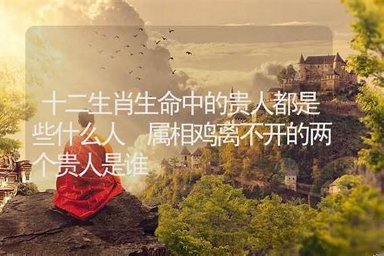 生命中遇到的都是贵人