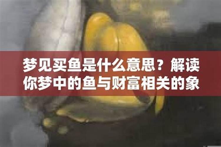 梦见买鱼是什么征兆解梦
