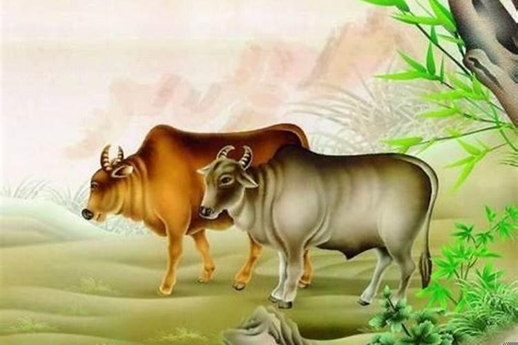 一六配七是什么生肖