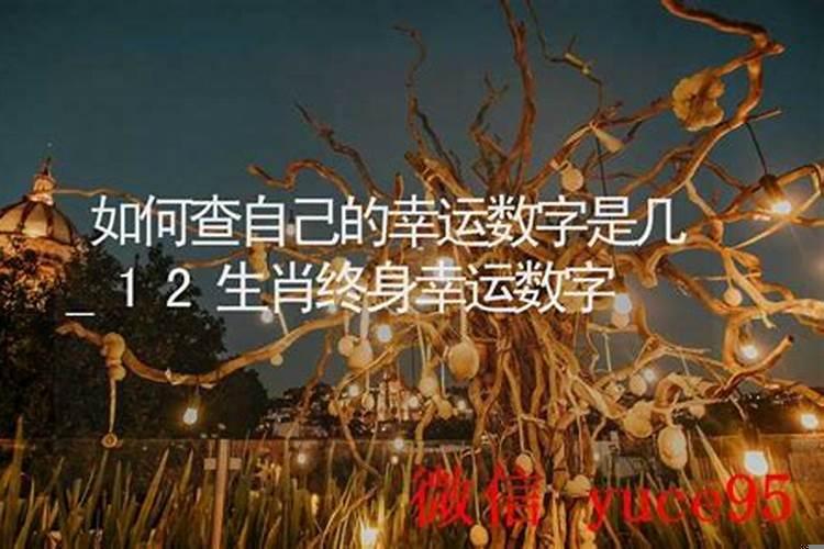 怎么知道自己的幸运数字