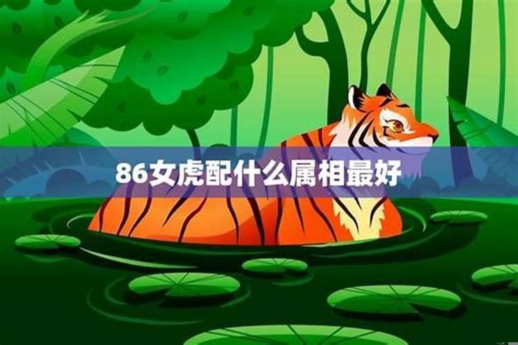 属相虎女和什么属相最佳配偶