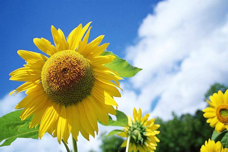 八字算命怎么解读