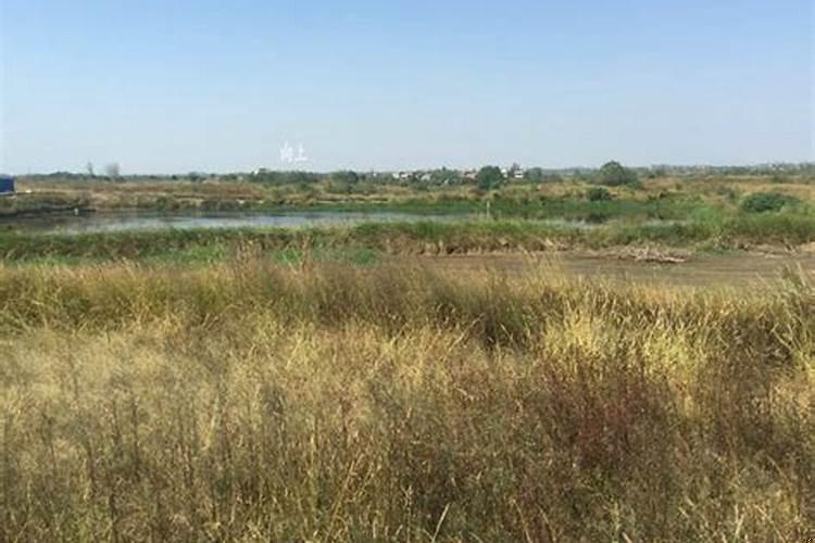 平原风水地的最佳显示说明