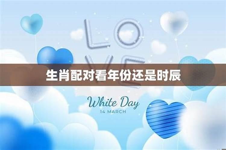 生肖看时辰还是年份