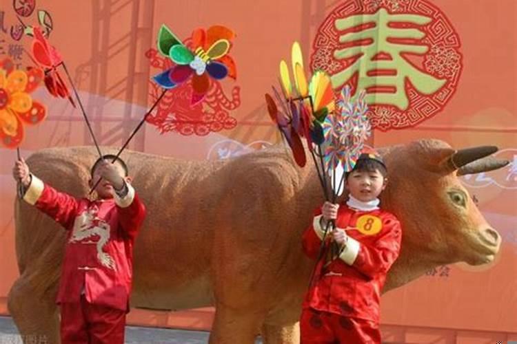 2021年属狗需要躲星吗