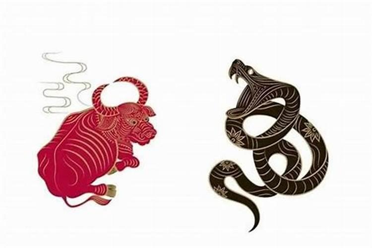 男属牛与女属蛇婚配好不好