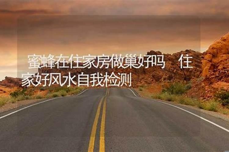 蜜蜂在住家房做巢好吗为什么