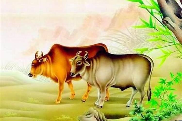 生肖牛和蛇的婚姻怎样