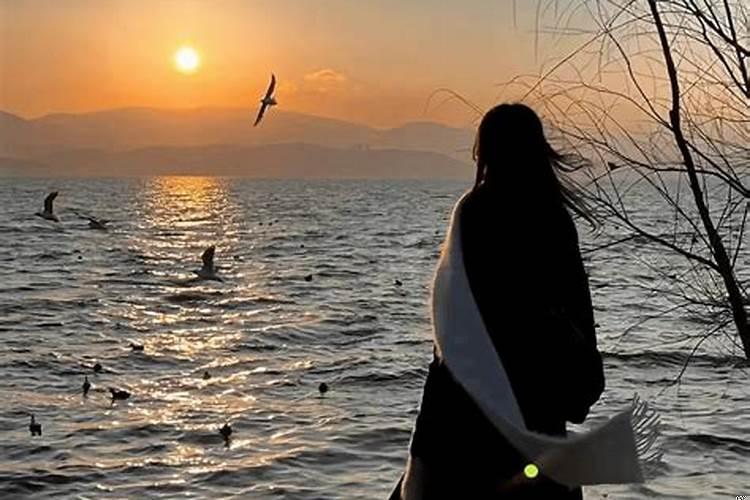 有一种爱情叫做天秤和狮子女