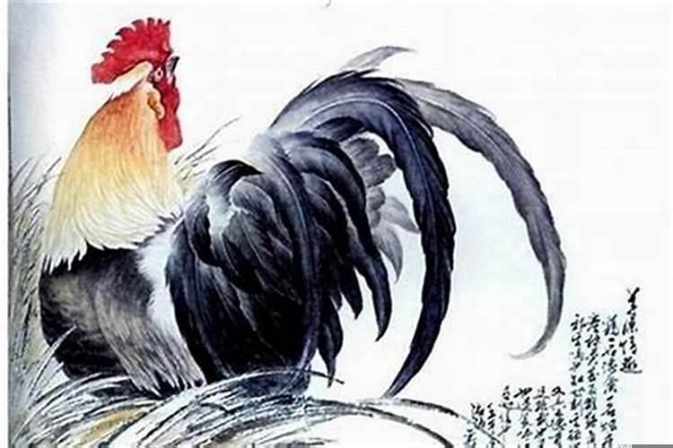 属牛的和属鸡的配吗