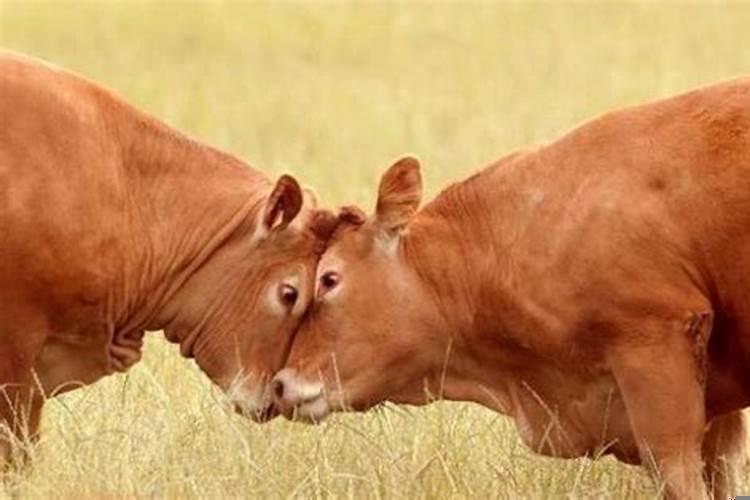 2021年1973年多大