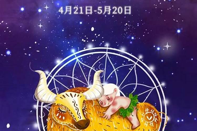 金牛座与十二星座关系