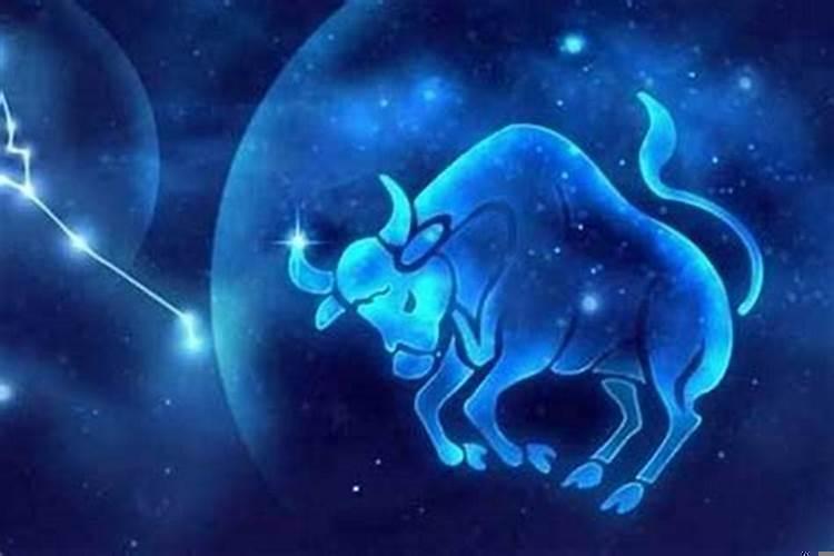 金牛男喜欢和你买一样的东西