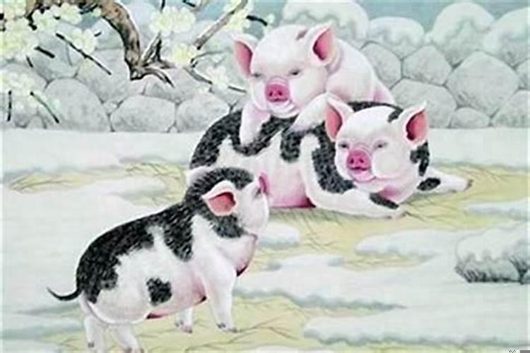 男猴和女狗生什么属相宝宝