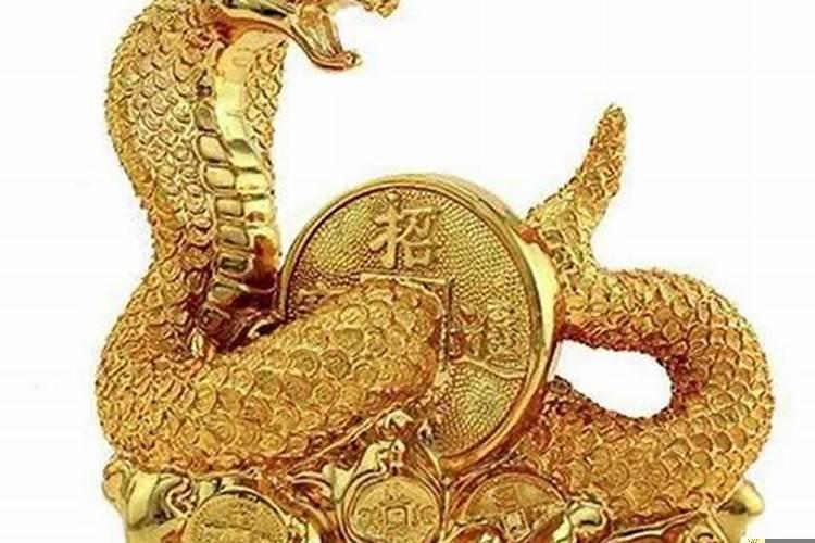 一生命运坎坷的生肖