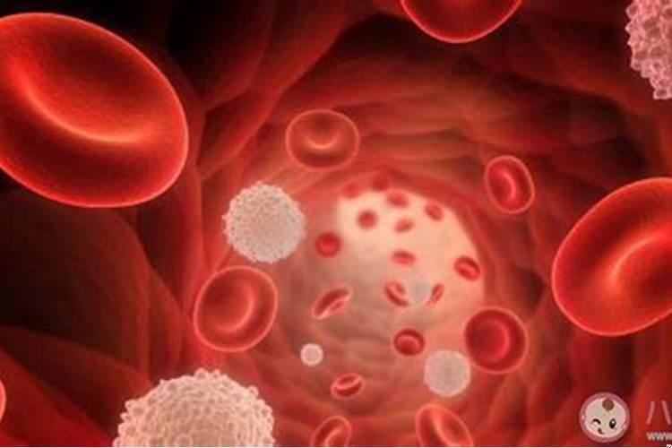 男女血型相同结婚有什么好处