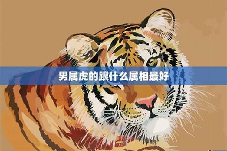 86年属虎配什么生肖最好