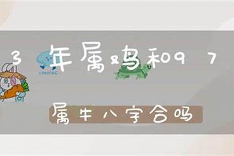 属牛的和属鸡的配吗