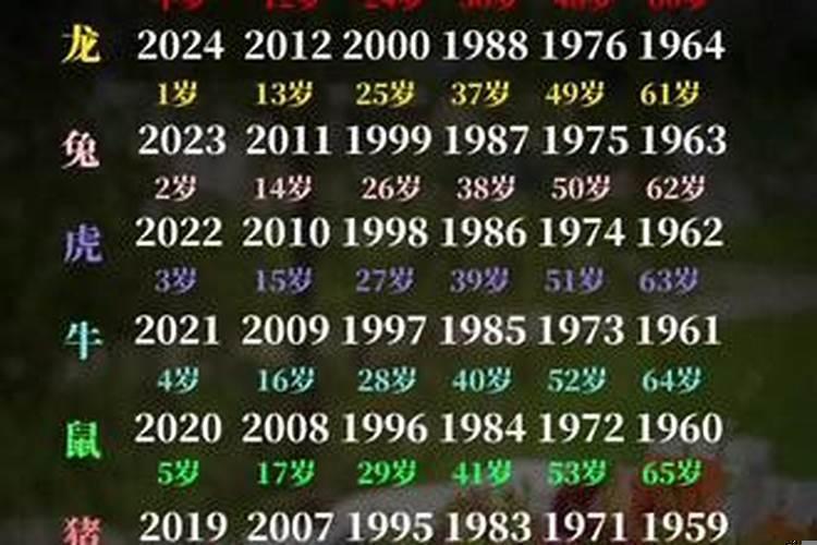 2021年1973年多大