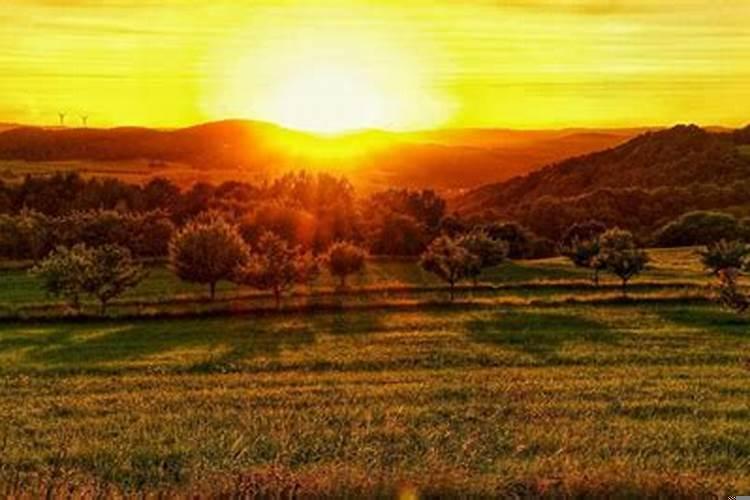 梦见老鼠死了是什么预兆