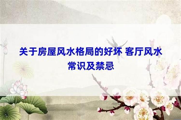 放生什么鸟比较好