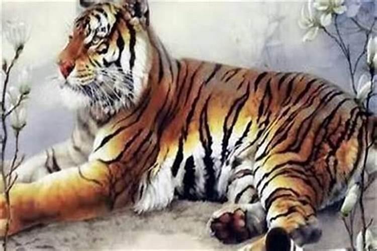 生肖虎的贵人是生肖龙吗?