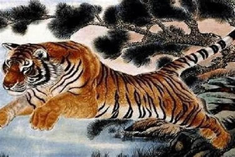 我属虎老公也属虎好不好