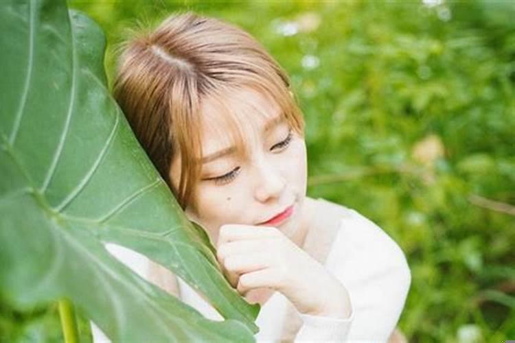 超级容易被感动的星座