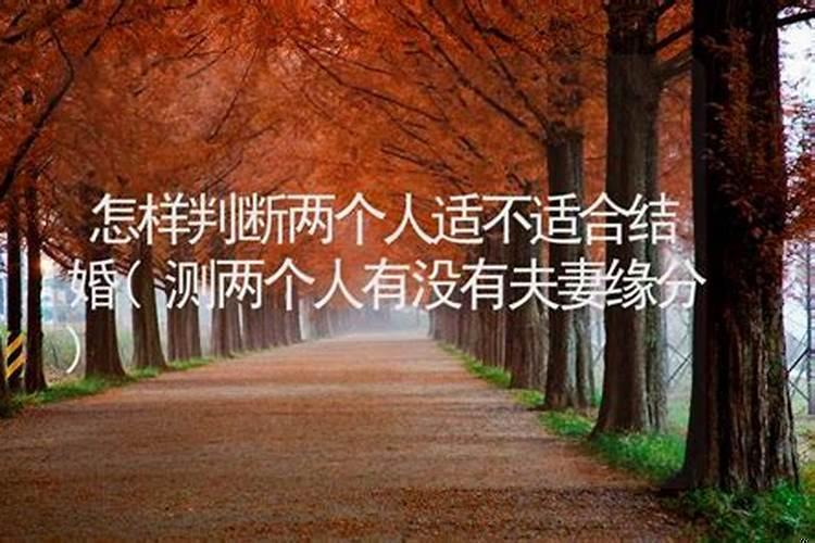 怎么样才能看出两个人的婚姻合不合