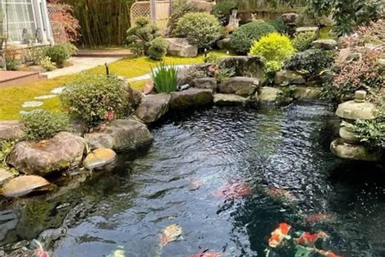 庭院里做鱼池风水里有讲究?
