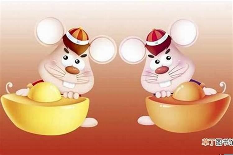 今年属鼠人面临的问题