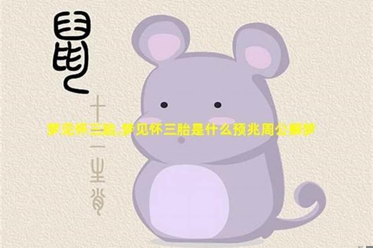 梦见老婆怀了三胞胎是什么意思