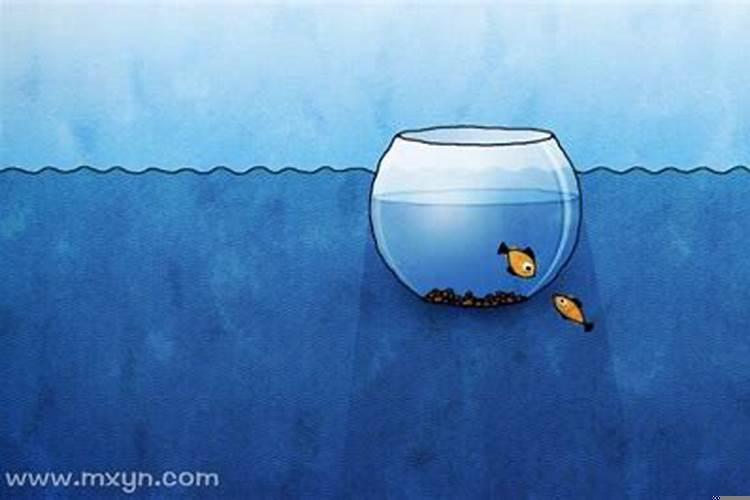 梦见两盆鱼坏了然后扔了