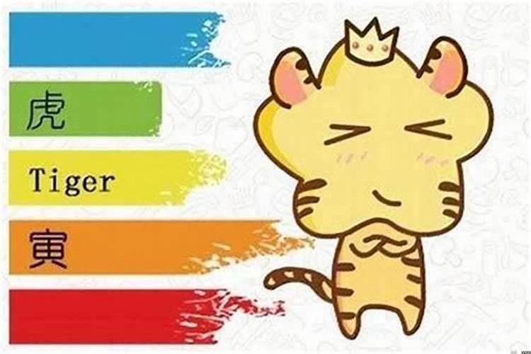 生肖虎的贵人是生肖龙吗?