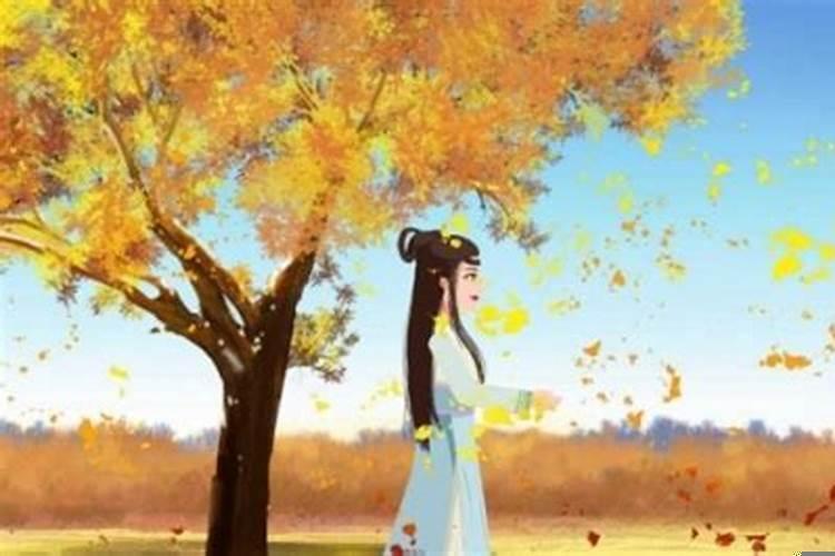 今年立秋分公秋和母秋吗