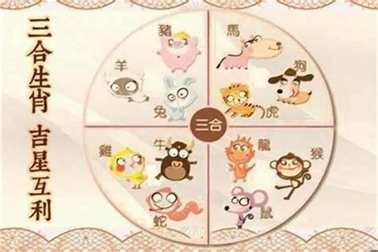 兔子跟虎的属相合不合