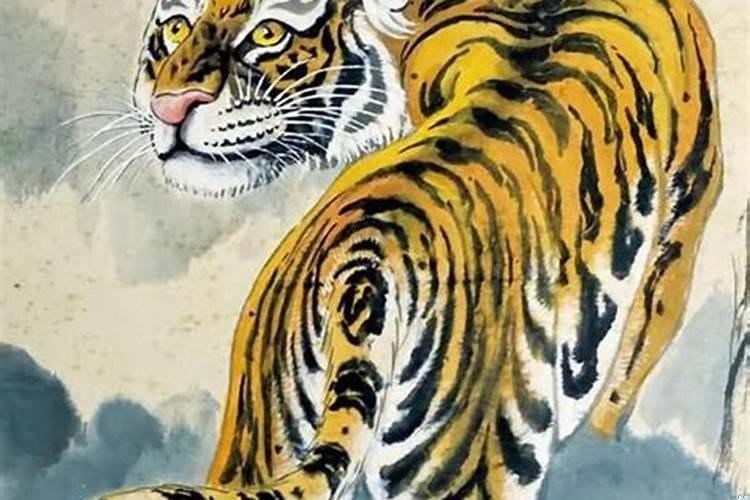 属虎人今年的财运