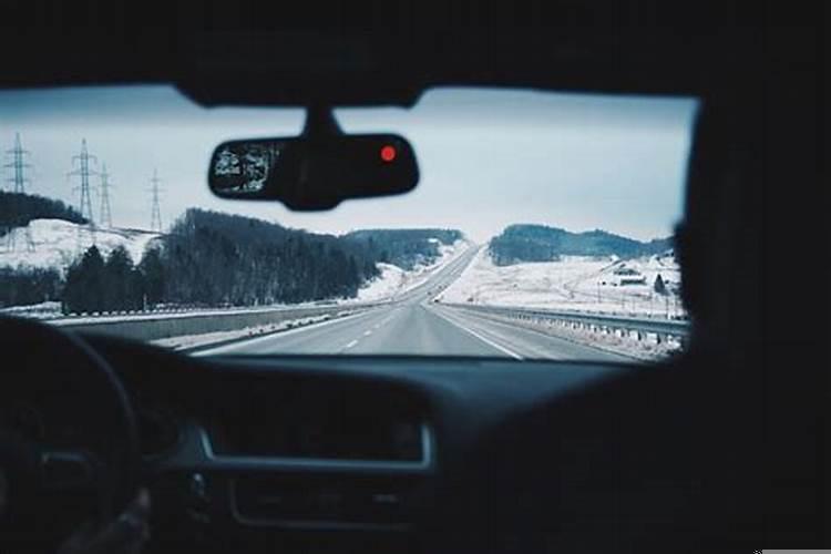 梦见小老鼠会说话