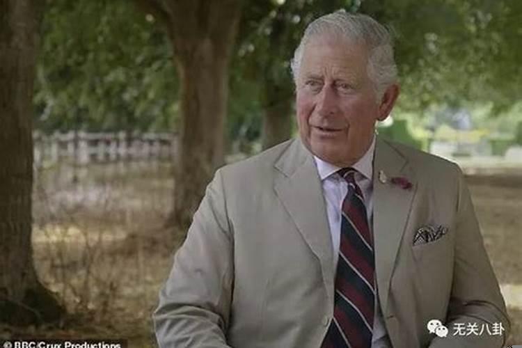 查尔斯什么时候当国王