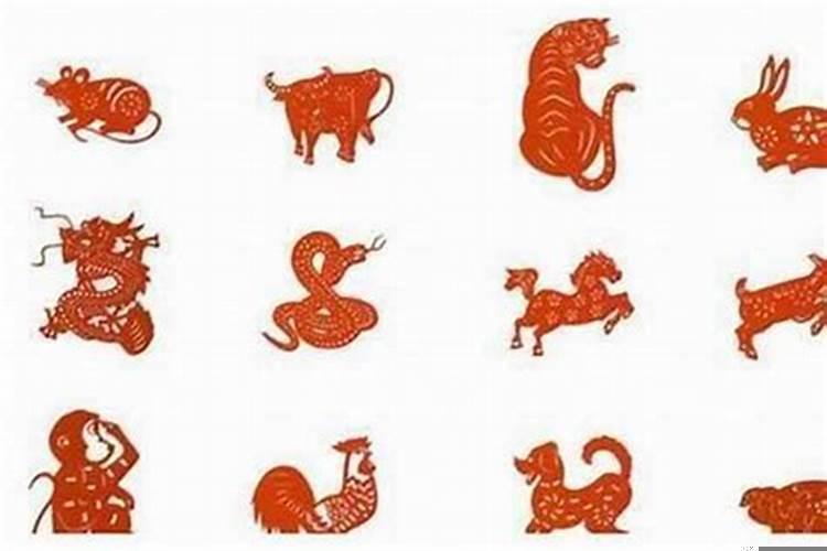 82年属狗女和81年属鸡男婚姻