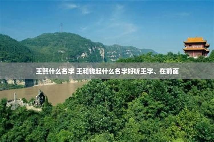 起名字王什么熙