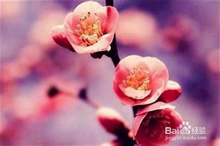 怎样提升贵人运