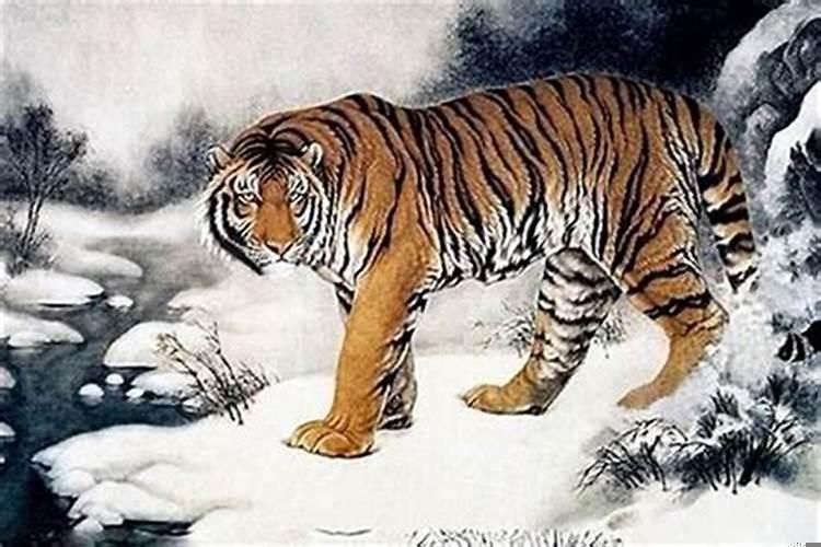 鼠年破太岁是什么意思