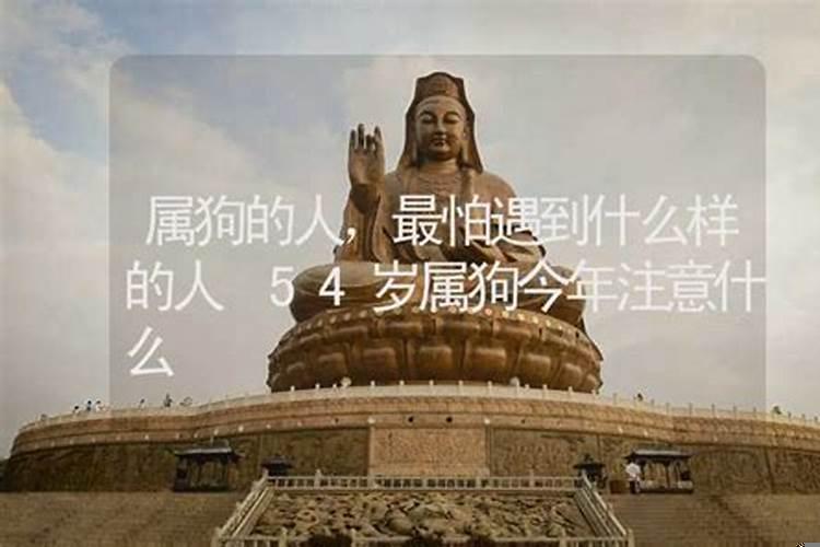 请问今年54岁属什么的