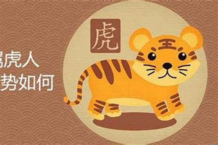 属鼠属牛属猪一家好吗
